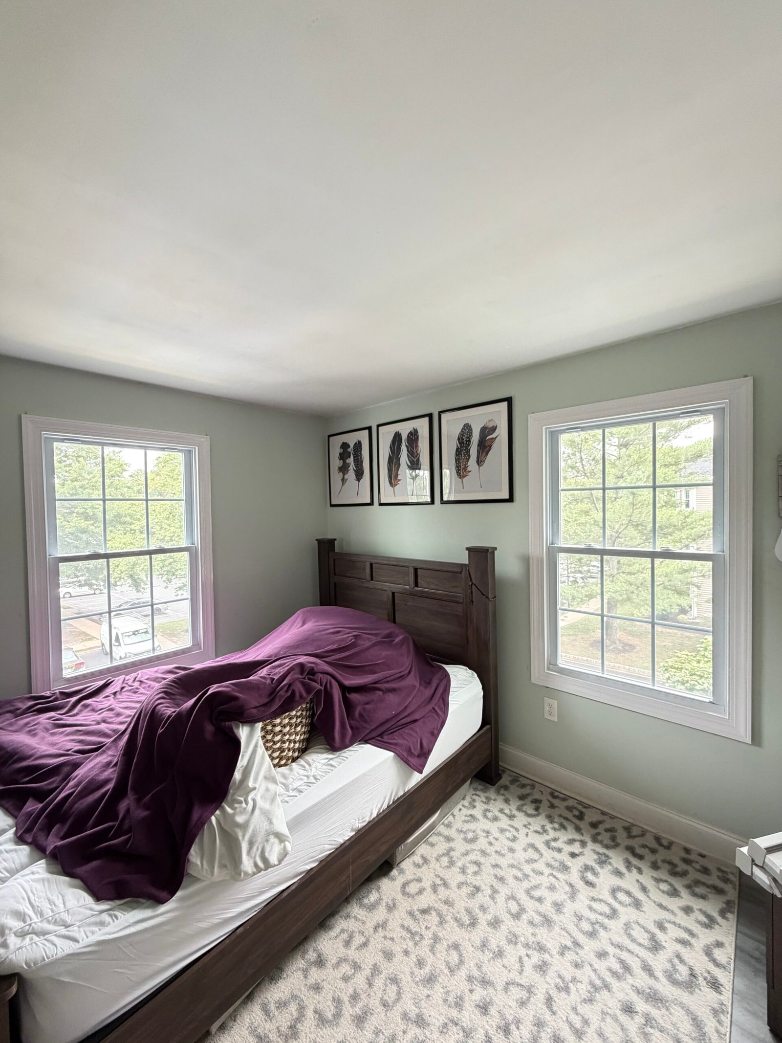 After: both bedroom windows with their coordinated white interior trim.