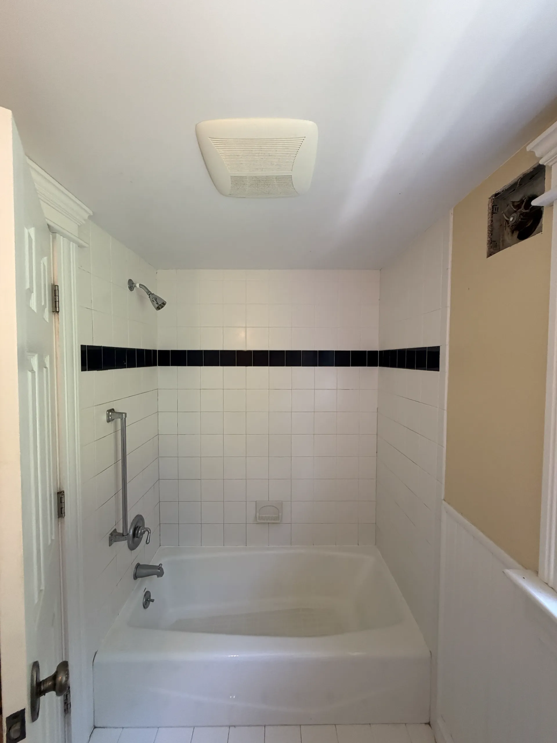 the bathtub-to-shower conversion — before renovation