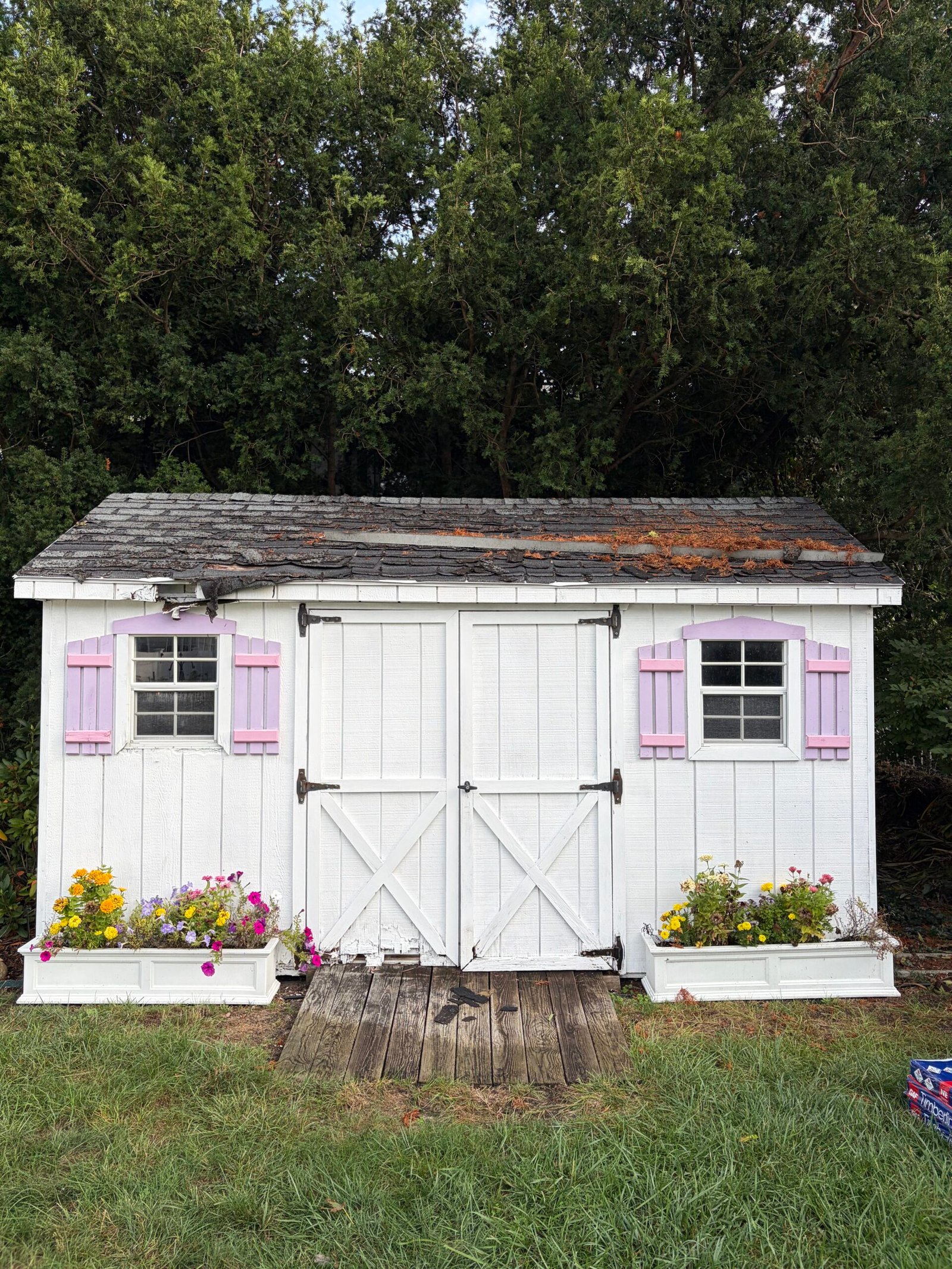 Before: the original garden shed with worn roof shingles, damaged doors and pink shutters.