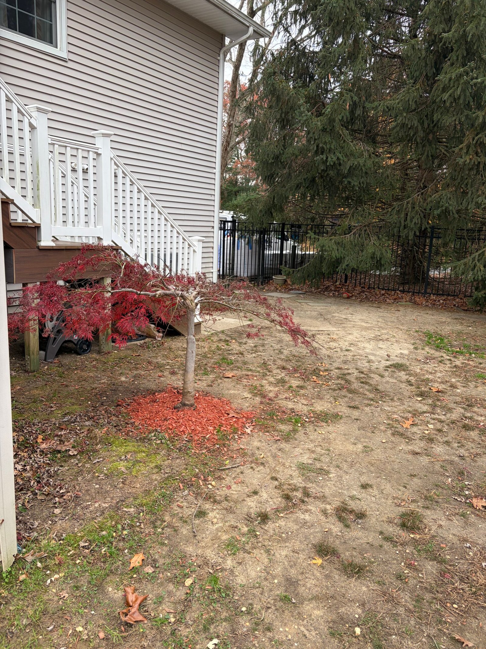 Before: the worn side-yard ground between the stairs, house and gate.