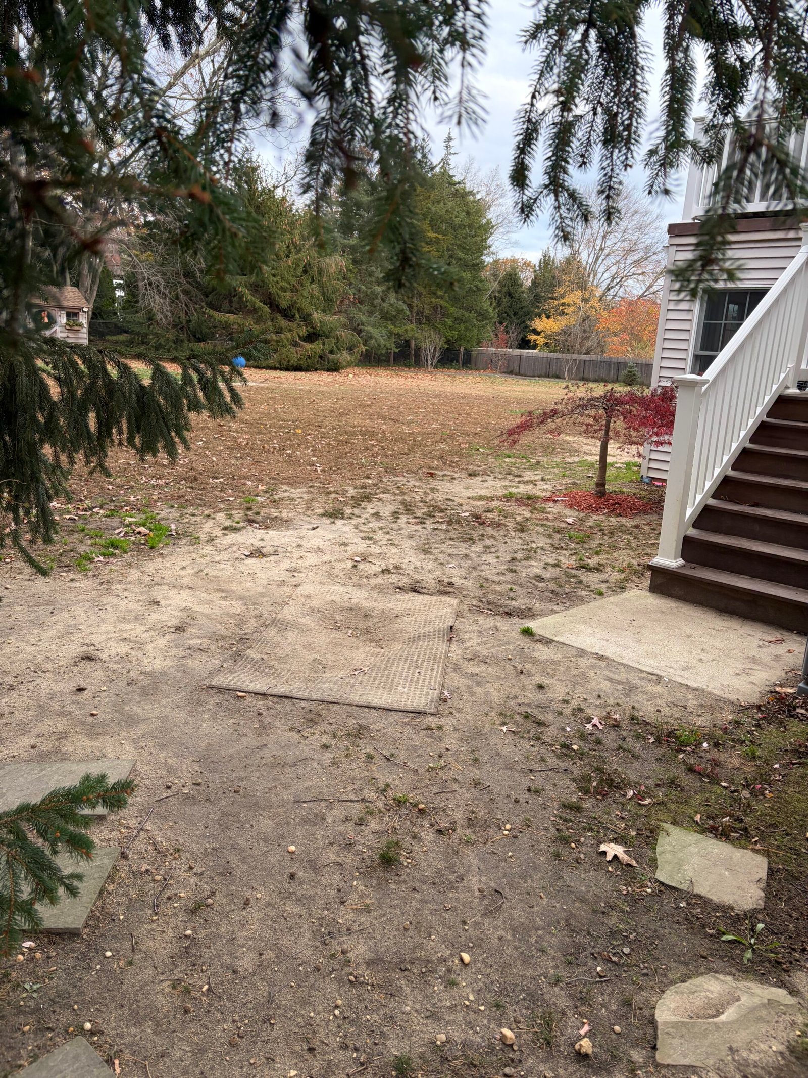 Before: the route beside the stairs, looking back toward the rear yard.