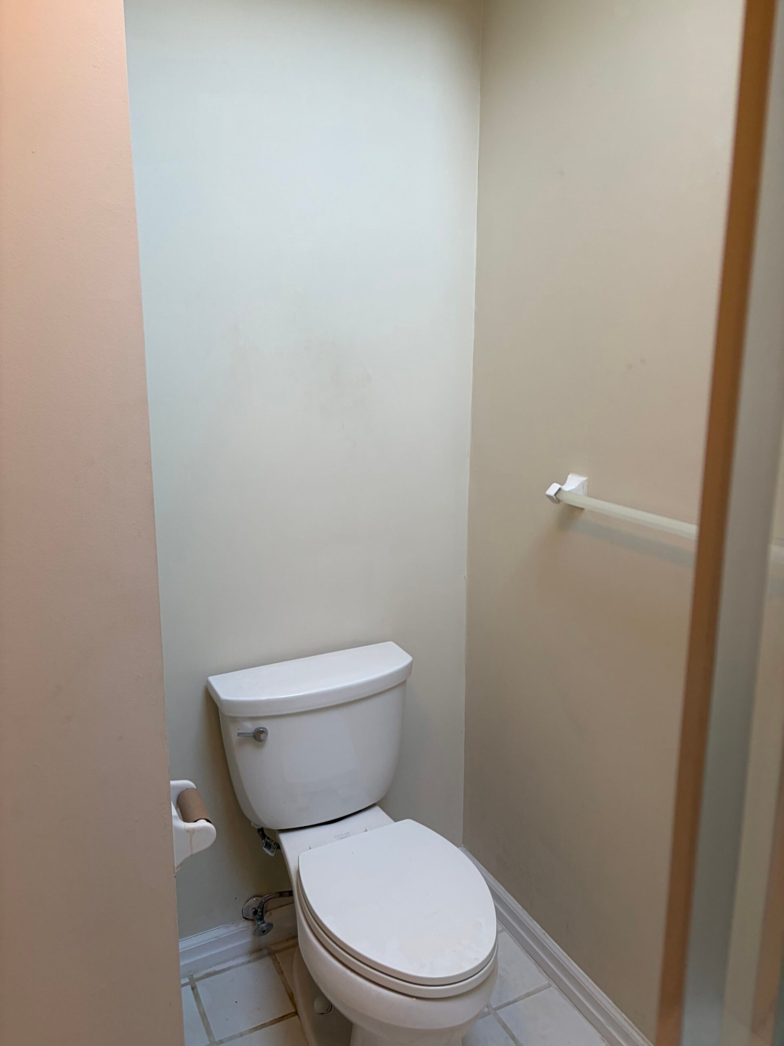 Before: the toilet alcove and original wall finishes.