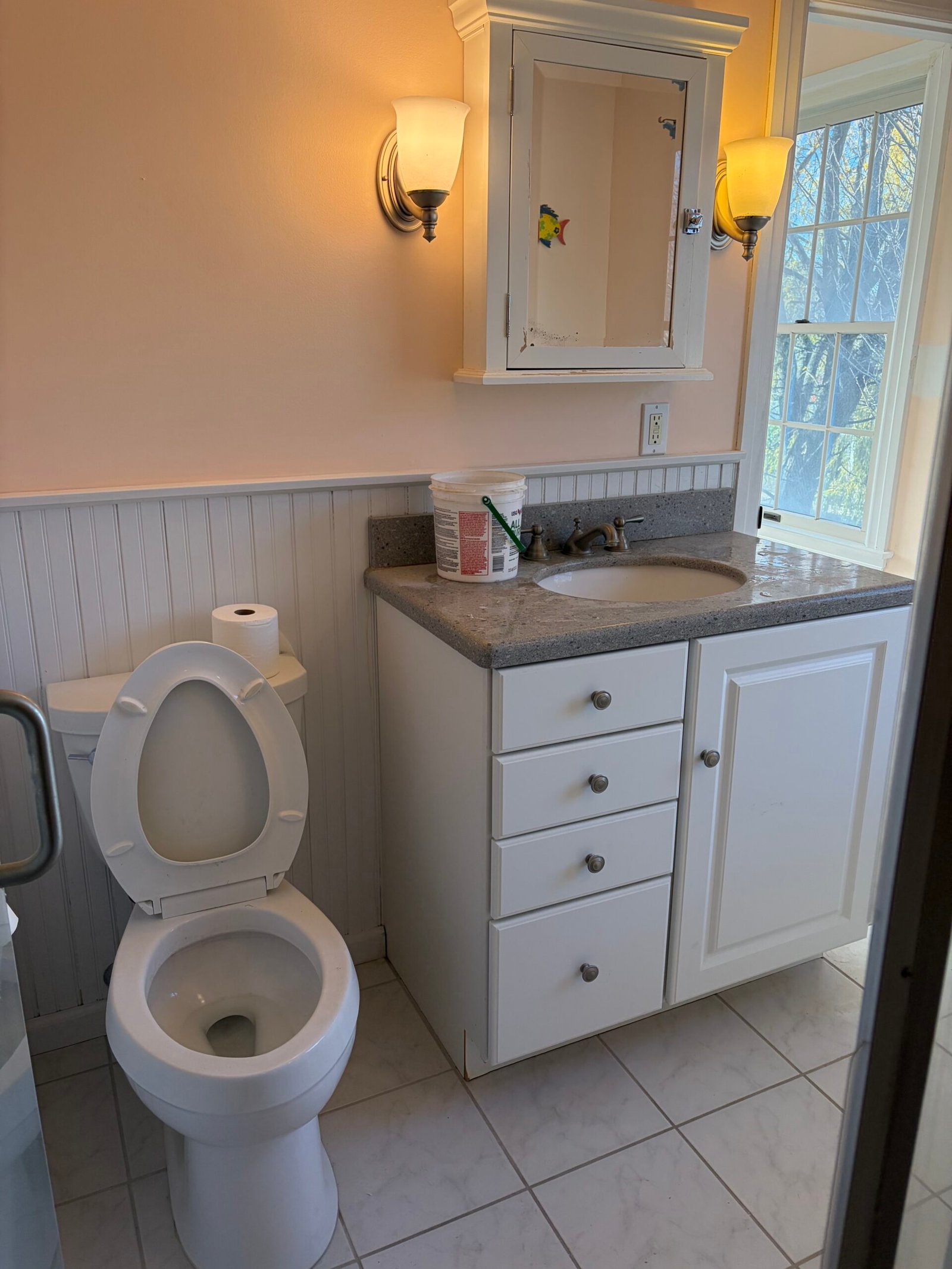 Before: the white vanity, toilet, window and original wall finishes.