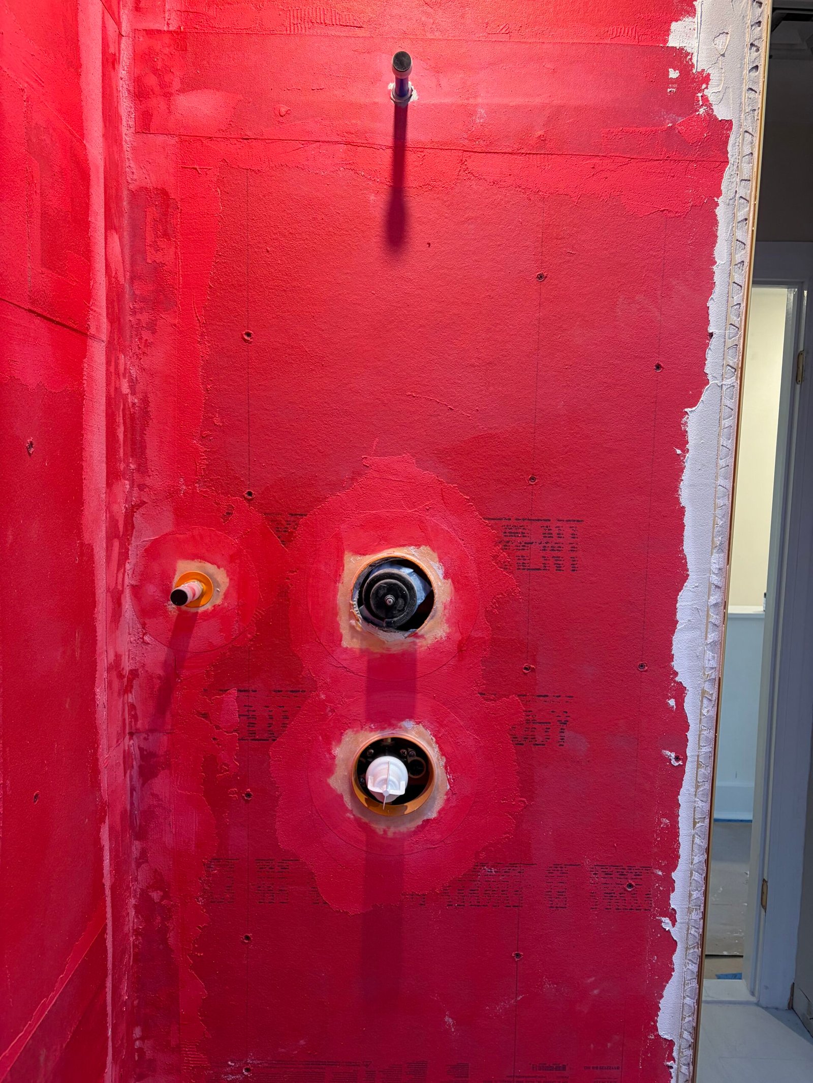 The coated shower wall around the valve, shower outlet and other plumbing openings.