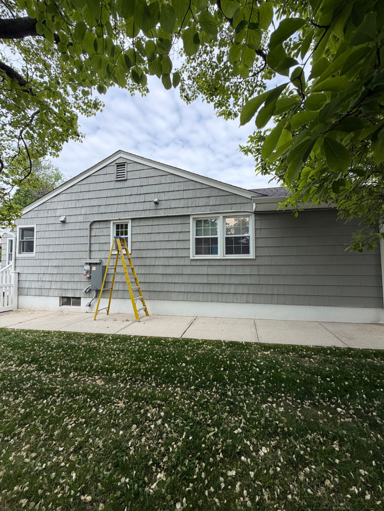Access set up with a ladder beside the side gable during the painting work.
