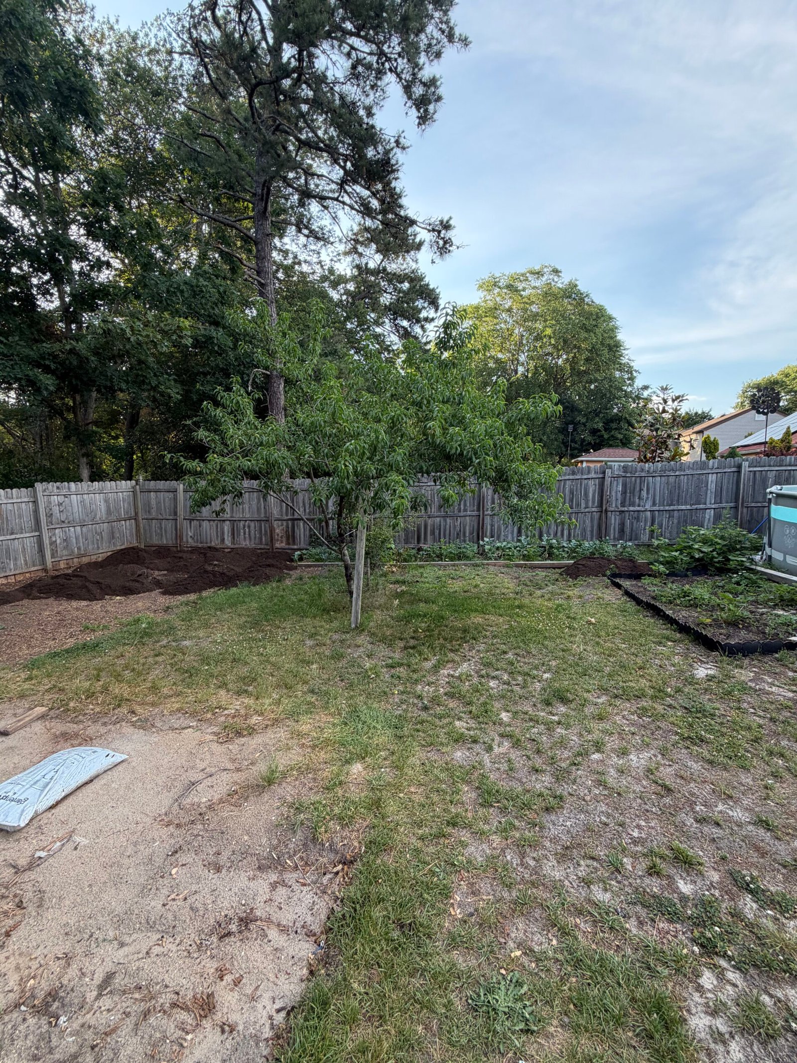 The garden area at the starting stage, with the existing tree, lawn and planting beds still visible.
