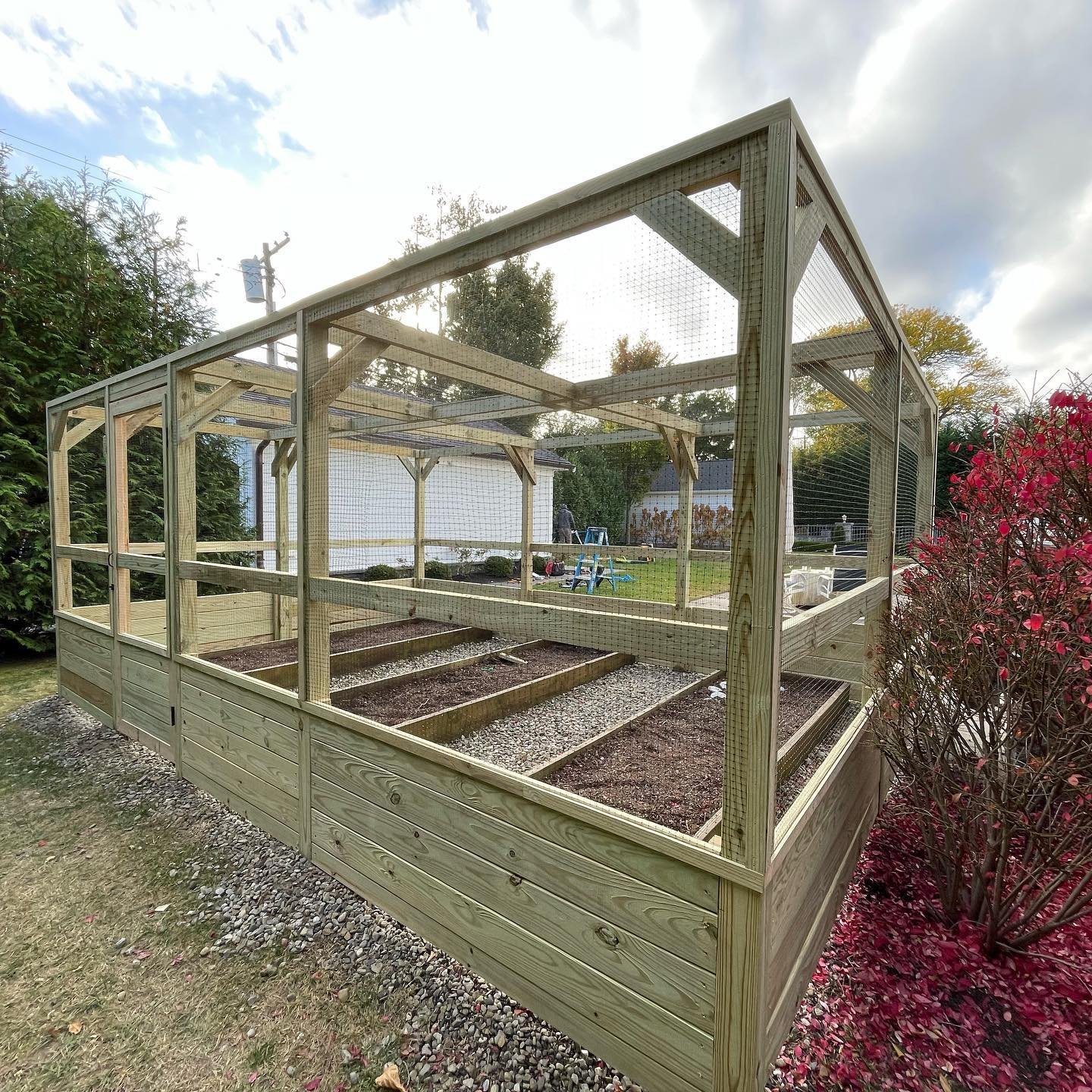 The finished flower-garden enclosure with its timber walls, upper frame and bird netting.