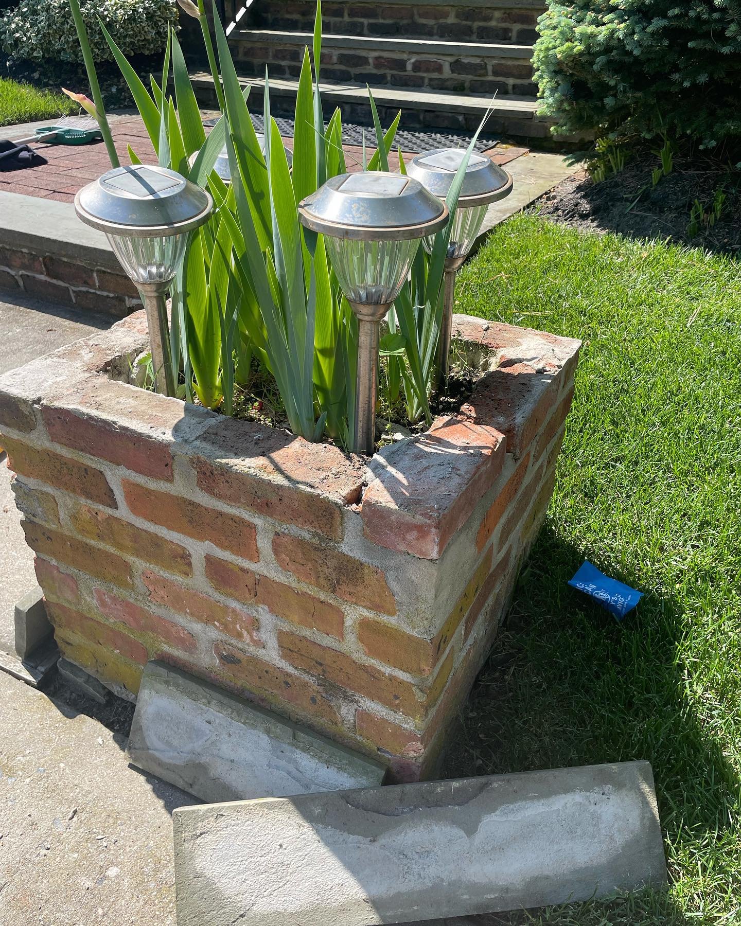 Before: the exposed brick top around the planting opening, with loose old cap pieces on the ground.